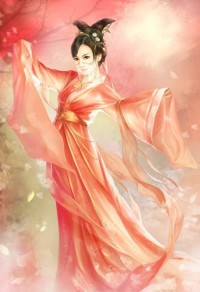 我的完美双胞胎老婆