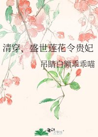 清穿，盛世莲花令贵妃